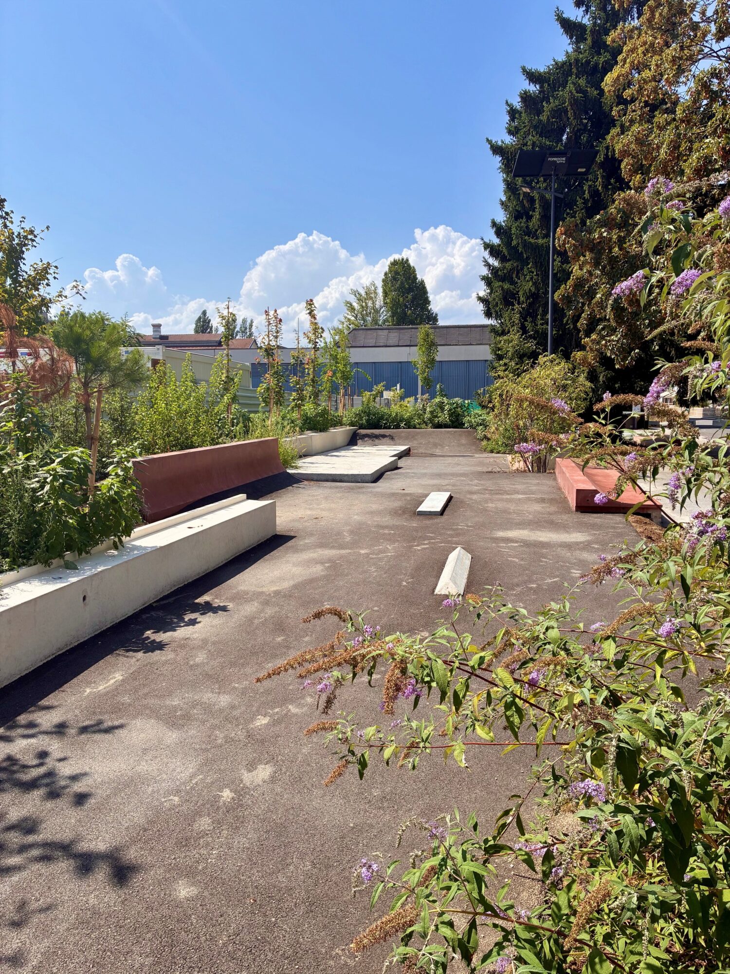 Skatepark - Aménagement provisoire à Malley
